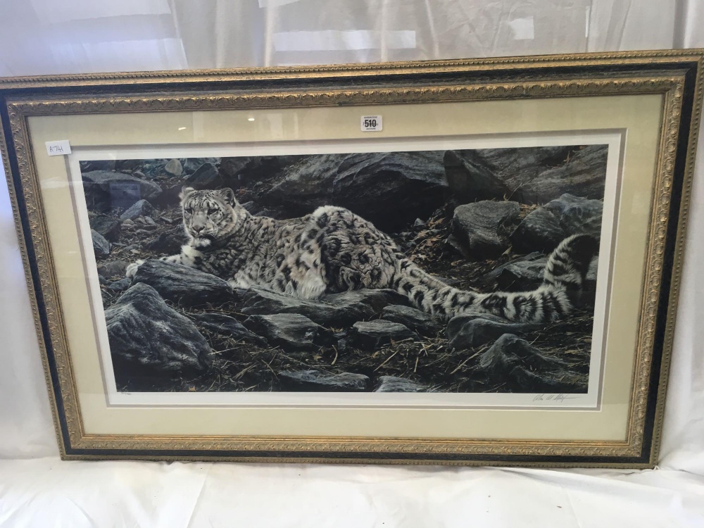 GILT F/G WHITE TIGER PRINT SIGNED & A GILT F/G LION PICTURE - Image 7 of 10