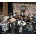 SHELF WITH MIXED PLATED WARE, TROPHY CUPS, EGG CUPS & TEA POTS