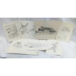 FOLDER OF 7 SHEETS OF NATURAL HISTORY DRAWINGS; FOX, CATTLE, DEER ETC, ALL SIGNED AND DATED 1880'S