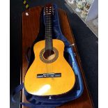 STRING GUITAR IN RITTER TRAVEL CASE 1 STRING MISSING, NO NAME