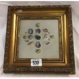 SMALL PAINTING ON BOARD OF SEASHELLS AND FOSSIL, INSCRIBED ON THE REVERSE ELIOTT HODGKIN AND