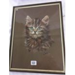 PASTEL DRAWING OF A KITTEN BY LONA BRADSHAW, SIGNED