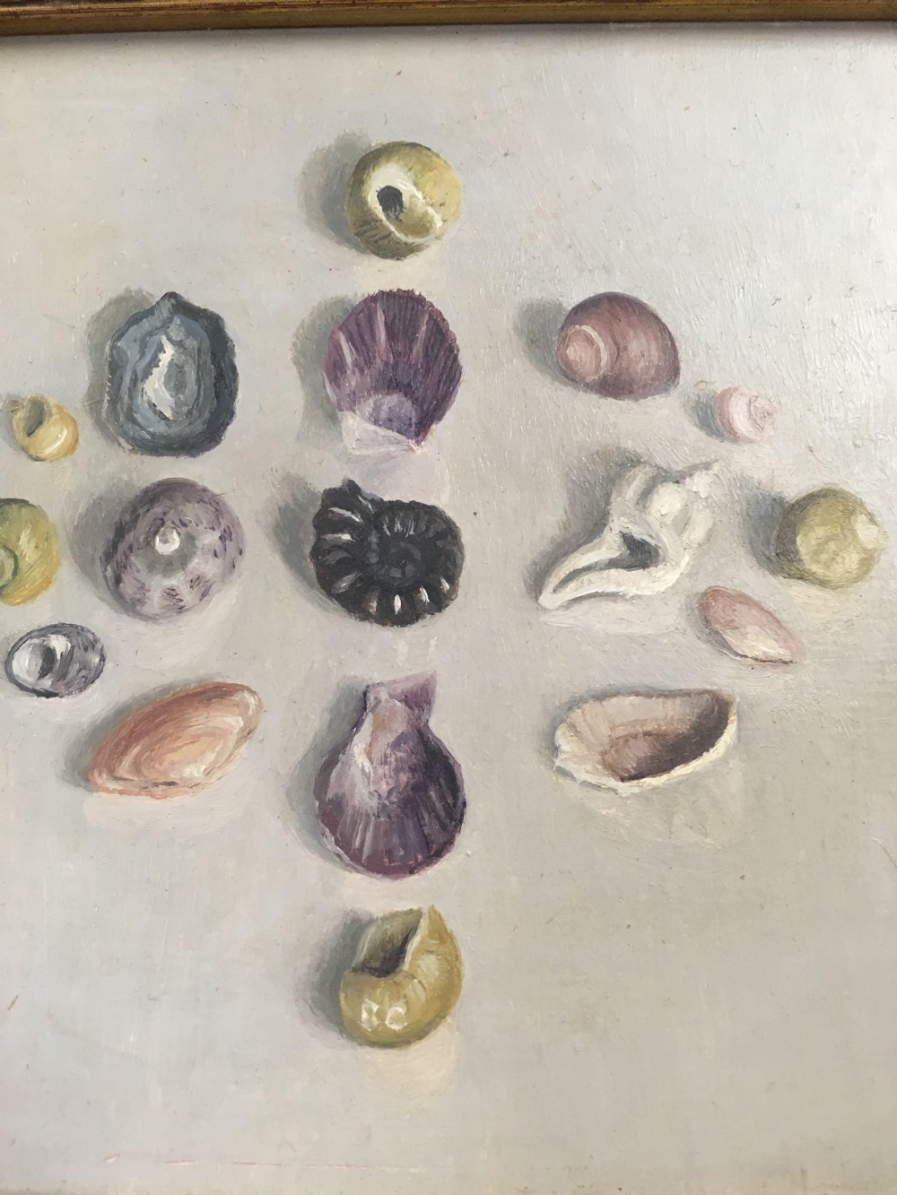 SMALL PAINTING ON BOARD OF SEASHELLS AND FOSSIL, INSCRIBED ON THE REVERSE ELIOTT HODGKIN AND - Image 2 of 3