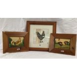 PAIR OF PINE FRAMED PORTRAITS OF RARE BREED COCKERELS TOGETHER WITH A LARGER PICTURE OF A COCKEREL