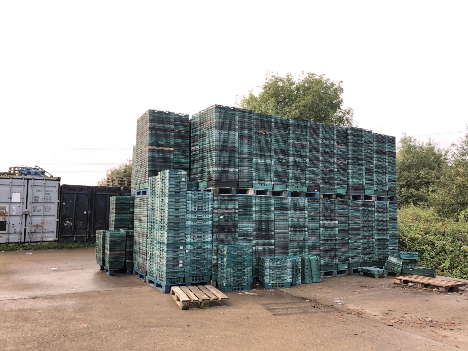 Approximately 12,000 Fruit & Veg Plastic Stacking Crates - Bild 4 aus 6