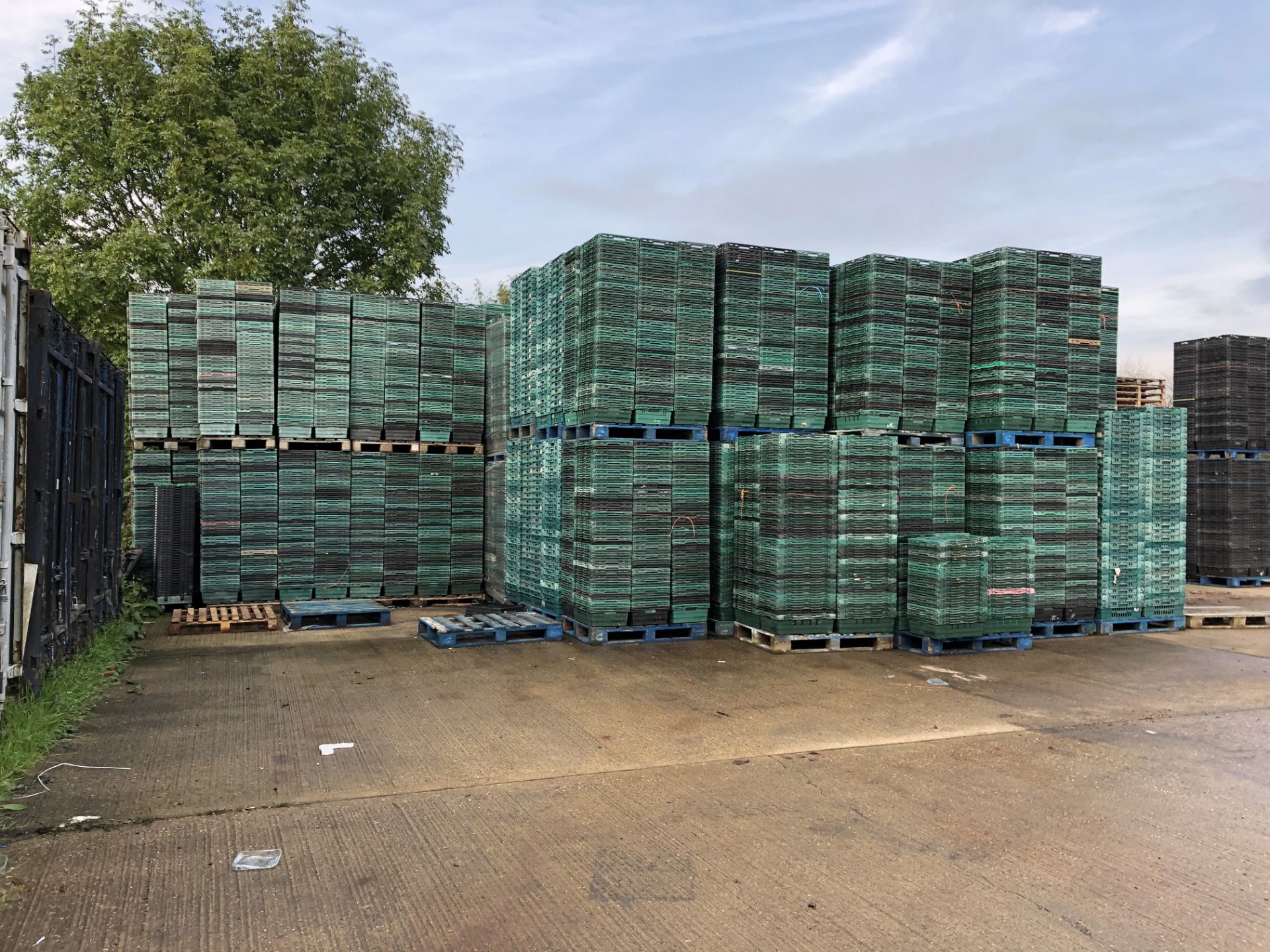 Approximately 12,000 Fruit & Veg Plastic Stacking Crates - Bild 2 aus 6