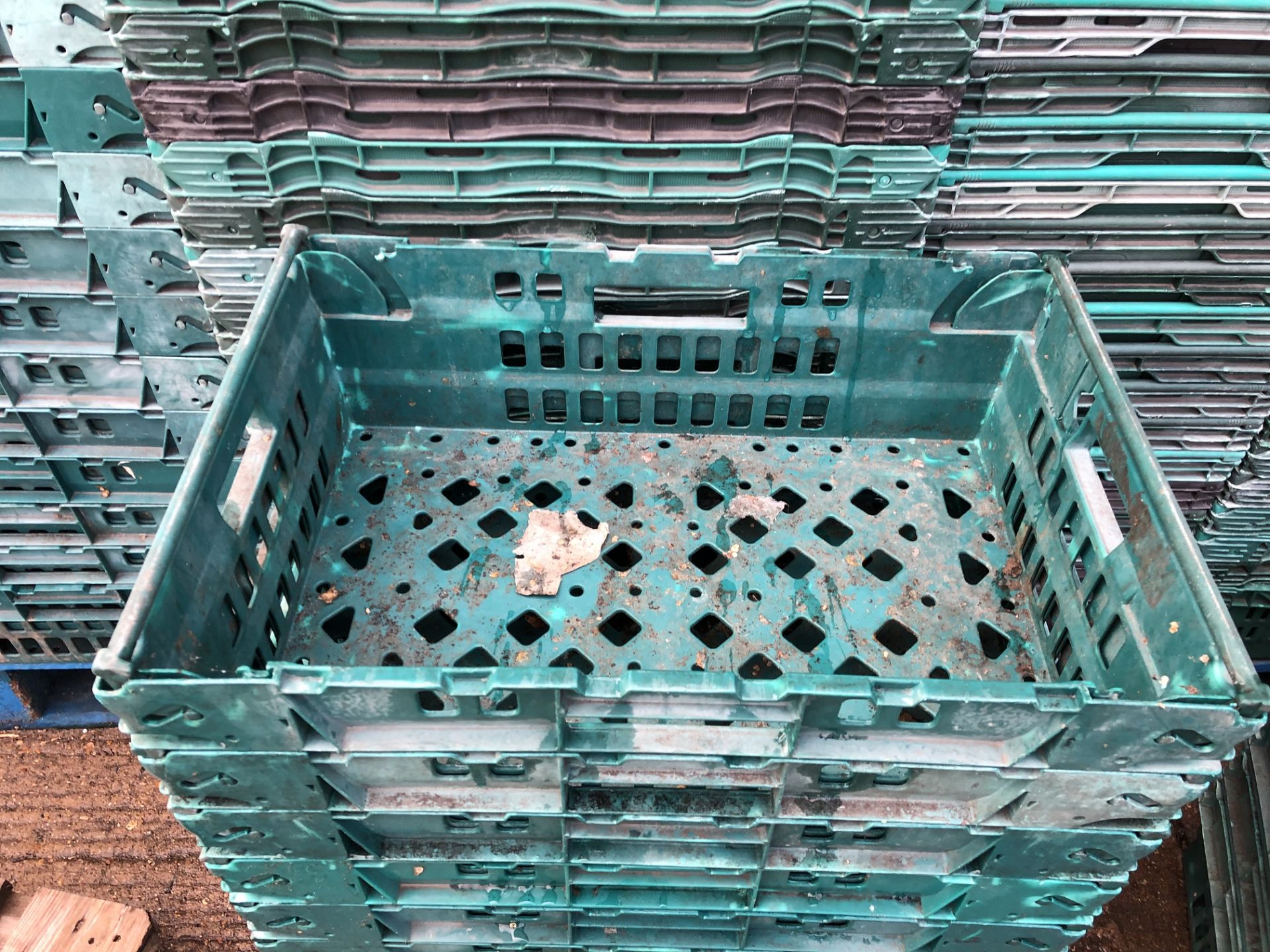 Approximately 12,000 Fruit & Veg Plastic Stacking Crates - Bild 5 aus 6