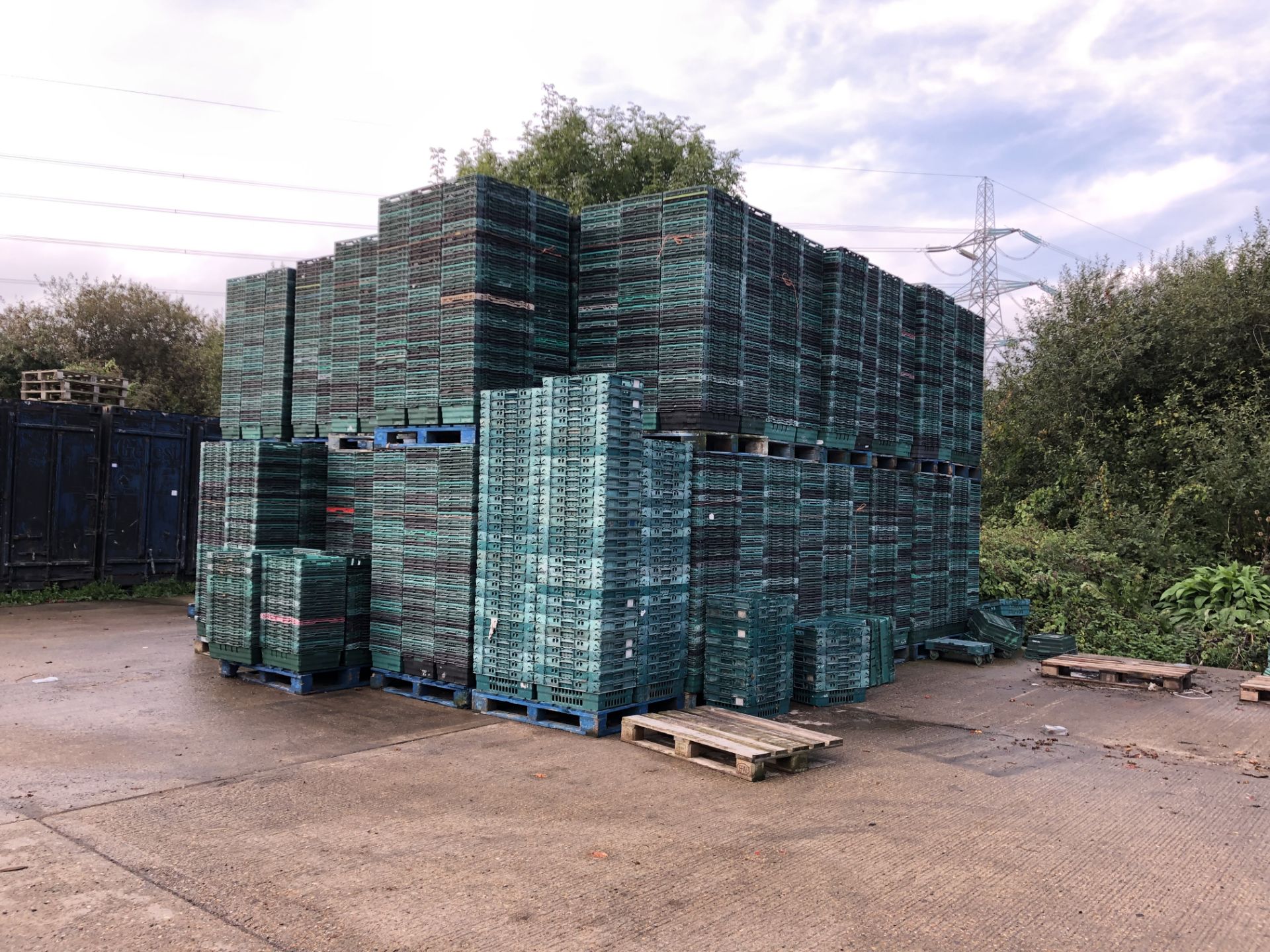 Approximately 12,000 Fruit & Veg Plastic Stacking Crates - Bild 3 aus 6