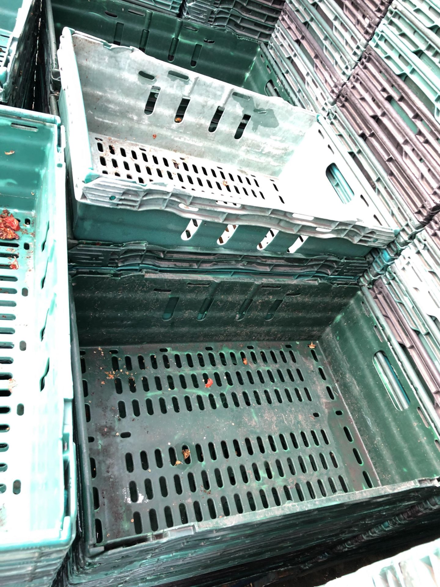 Approximately 12,000 Fruit & Veg Plastic Stacking Crates - Bild 6 aus 6