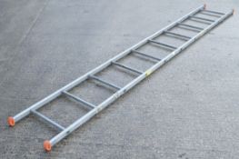 10 Rung Ladder