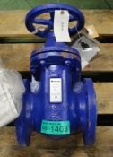 Hattersley M541 100mm Iron Wedge Gate Valve