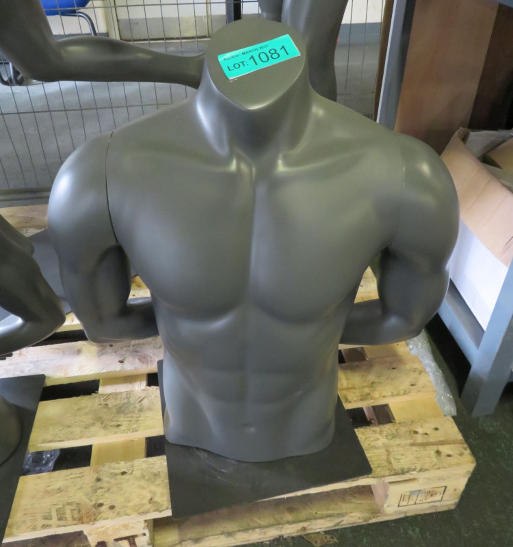 Mannequin - Male top torso