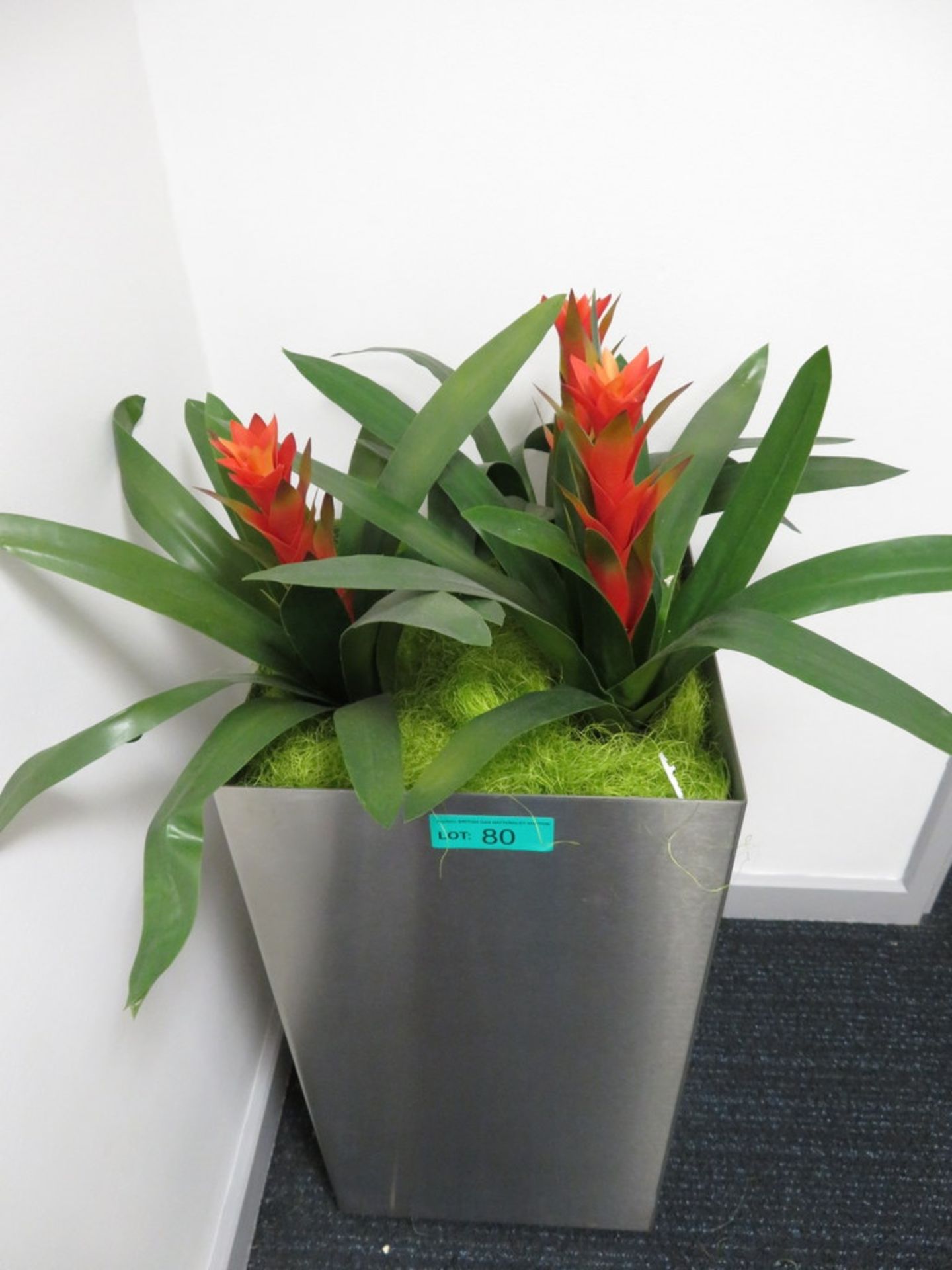 Artificial Plant Display. - Image 2 of 3