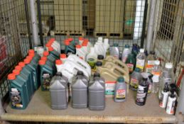 Various vehicle lubricants / oils, cleaner fluid, white spirit