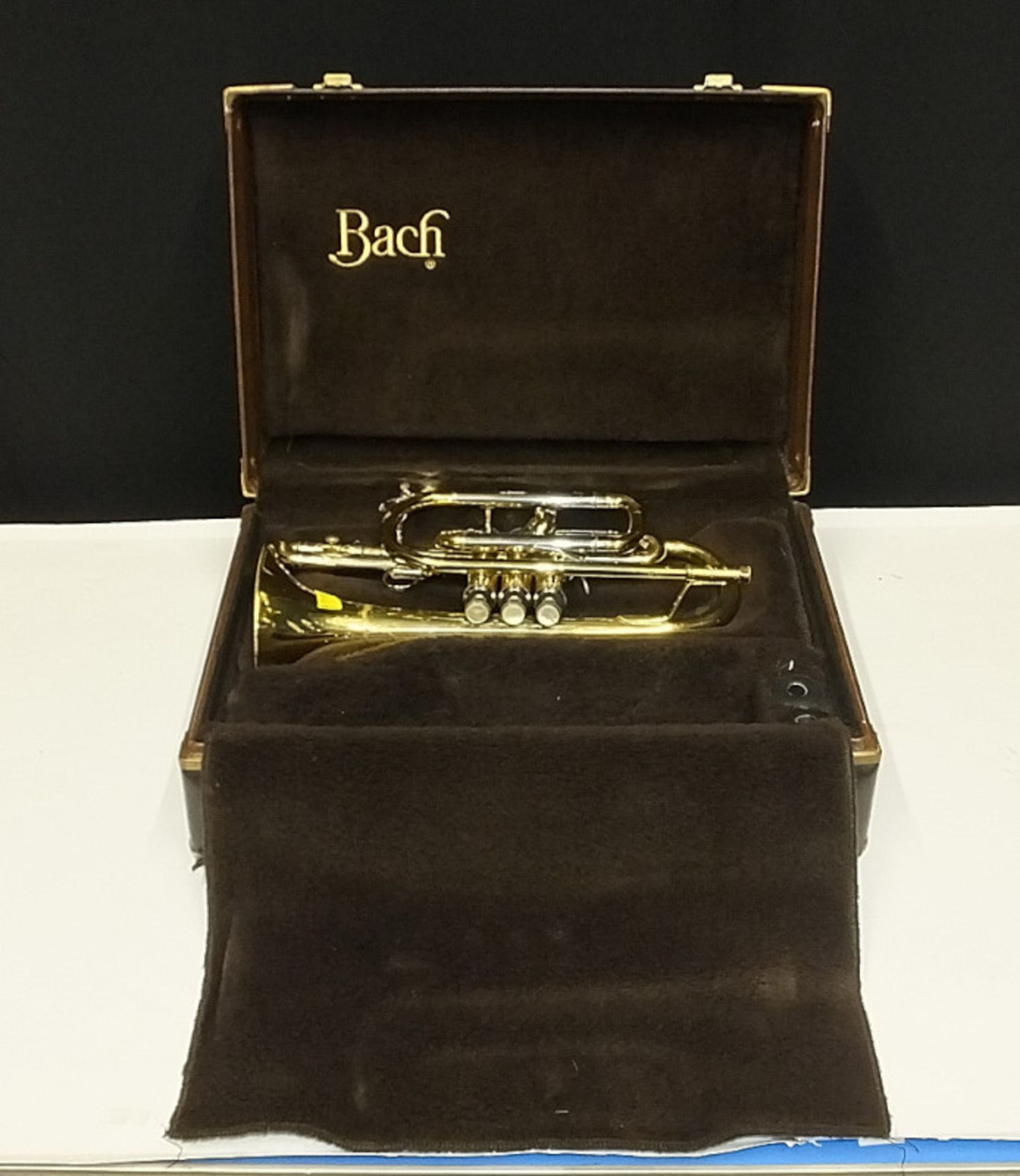 Bach Stradivarius Model 184 Cornet in case - Serial No. 501128 - Please check photos car