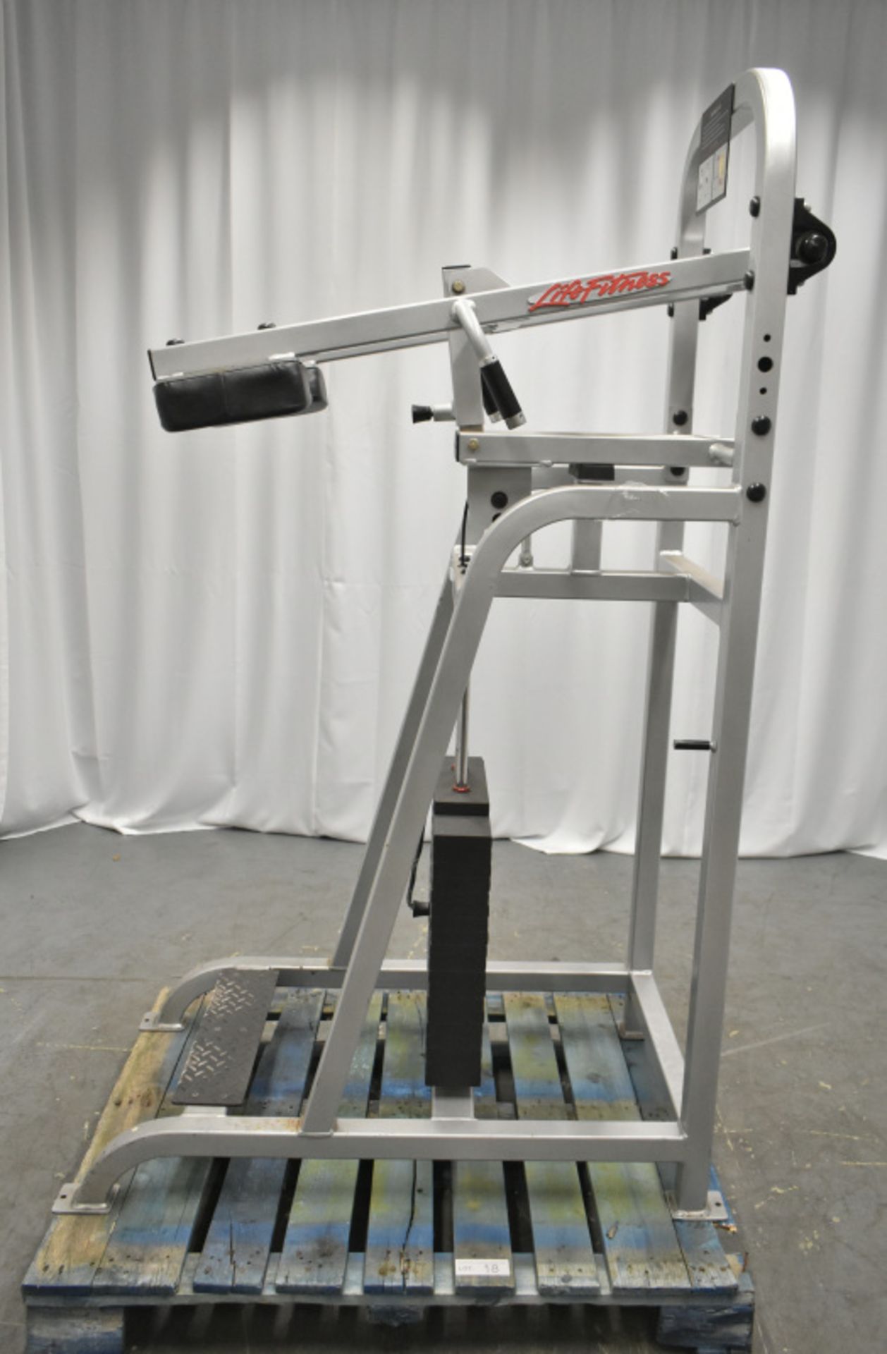 Life Fitness Standing Calf Trainer - See pictures for condition