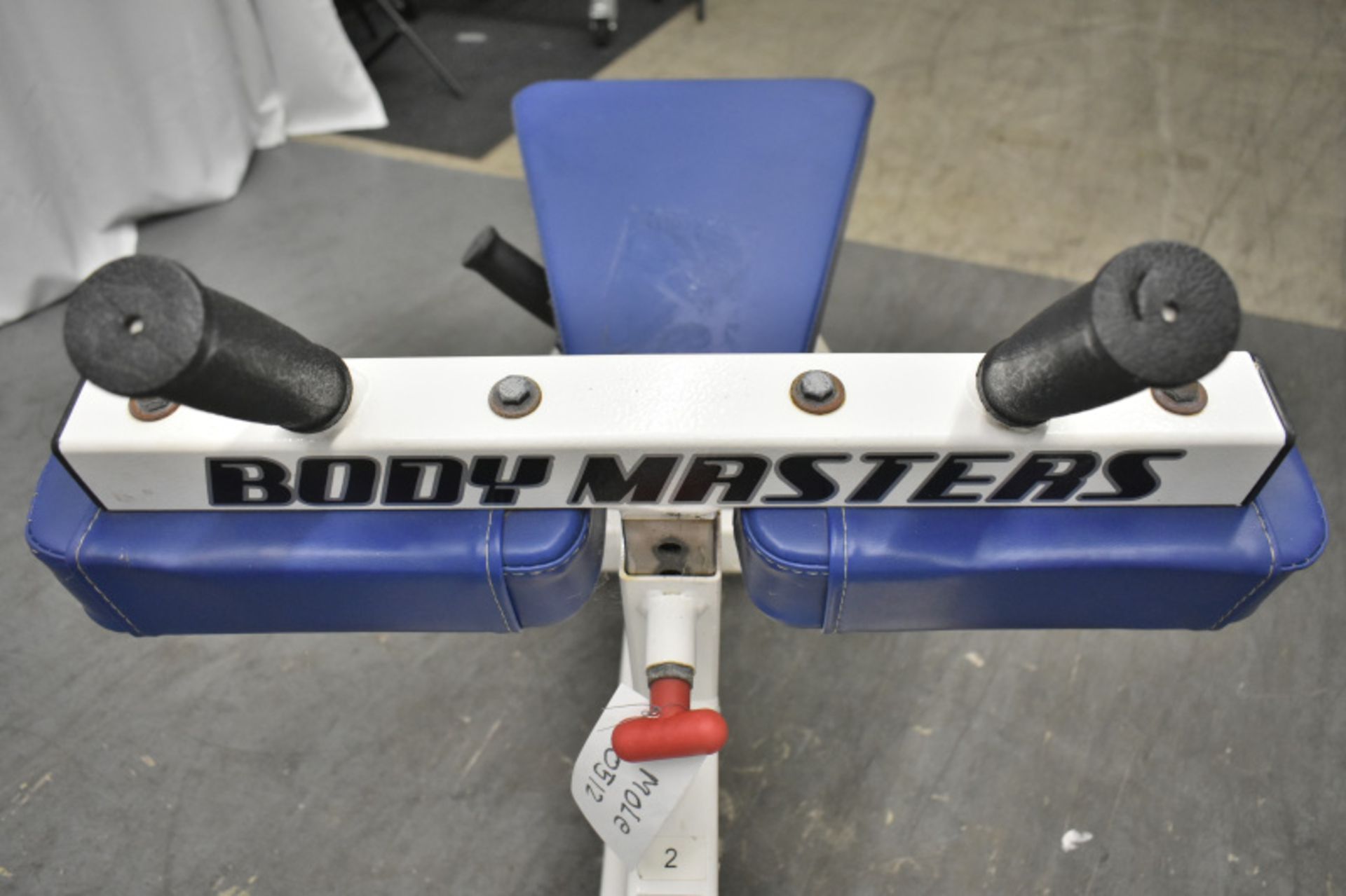 Body Masters Seated Calf Machine S/N A13 - See Pictures for condition - Image 10 of 16