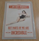 Metal Wall Sign 400mm x 300mm - I'm not perfect