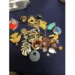 A mixed lot of jewellery comprising pendants and brooches, including mother of pearl, jade etc. (a