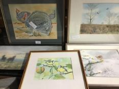 A group of watercolours depicting birds including Blue Tits and Robin by Peter Barrett, an