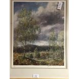 Howard Butterworth, Autumn over Braemar, coloured limited edition print 43/50, signed lower right on