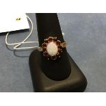 A 9ct gold opal and garnet ring, the oval opal with a surround of garnets (T) (3.6g)