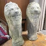 A pair of composition standing lions (h.56cm)