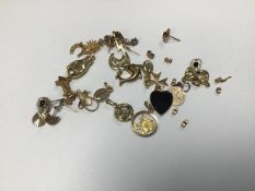 An assortment of charms including boxing glove, dolphin, hedgehog, horseshoe etc. (22.5g) (a lot)