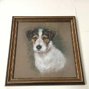 A portrait of a Jack Russell Terrier, pastel (31cm x 30cm)