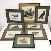 A set of six prints depicting Birds including a Partridge, Red Grouse and Capercaillie and others,