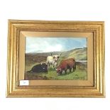 C.W. Middleton (British, fl. 1900), Highland Cattle, oil on panel, signed lower right, framed.