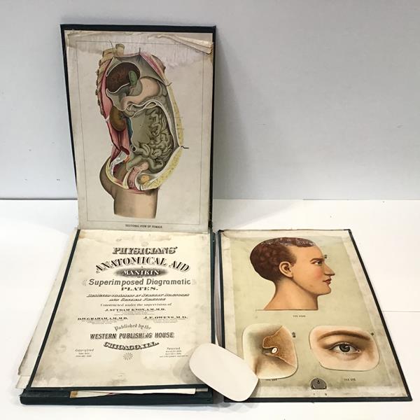 A 1ate 19th century "Physician's Anatomical Aid, a Manikin (sic) of Superimposed Diagramatic (sic)