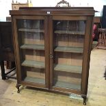 An Edwardian mahogany bookcase cabinet, the moulded gallery top above a pair of glazed panel doors
