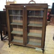 An Edwardian mahogany bookcase cabinet, the moulded gallery top above a pair of glazed panel doors