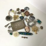 A collection of brooches including a shell cameo, a paste cameo, an abalone buckle, a Tree of Life