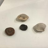 Fossils: a group of four including an ammonite and two oyster shells, one bearing a label