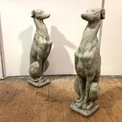 A pair of composition stone models of greyhounds, each seated, raised on a plinth base. 75cm