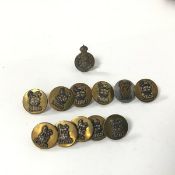 A collection of Kings Own Scottish Borderers brass buttons, each with a lion above a crown and K.O.