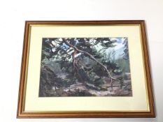 K. Russell, Within a Forrest, oil on paper, signed bottom right (18cm x 27cm)