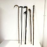 A collection of walking sticks, one bamboo with silver knop, another with a carved hare (a lot)