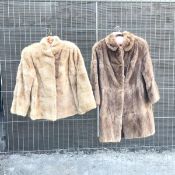 A Dominion Fur Co. Ltd, Churchill, Edinburgh musquash coat (l.85cm x shoulders: 47cm) and another