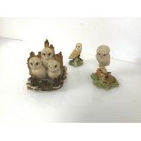A Border Fine Arts collection of Owl figures (largest: 10cm x 11cm x 10cm)
