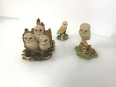 A Border Fine Arts collection of Owl figures (largest: 10cm x 11cm x 10cm)