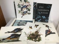 A folio of approximately thirty Audubon coloured prints (each: 43cm x 35cm) with accompanying