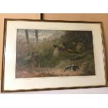 After Archibald Thorburn, Pheasants in Flight, reproduction print (32cm x 54cm)