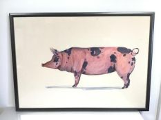 Study of a Pig, watercolour, signed bottom right (59cm x 83cm)