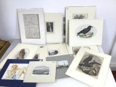 A collection of 19thc prints including Birds, Historic Scenes and a map with a mid 20thc Pin Up Girl