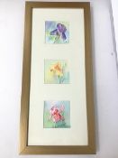 Evelyn McEwan, three watercolours of Irises in single frame, signed bottom right, ex Beechwood