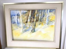 Joan Renton RSW., Forrest in Yellow and Blue Light, watercolour, signed bottom right (54cm x