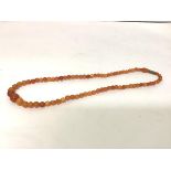 A single strand graduated amber bead necklace, of "butterscotch" colour, on a gilt-metal clasp.